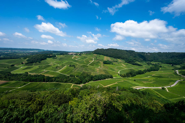Вид на зеленые холмистые виноградники вблизи винной деревни Шато-Шалон в регионе Юра, Франция - Фото, изображение