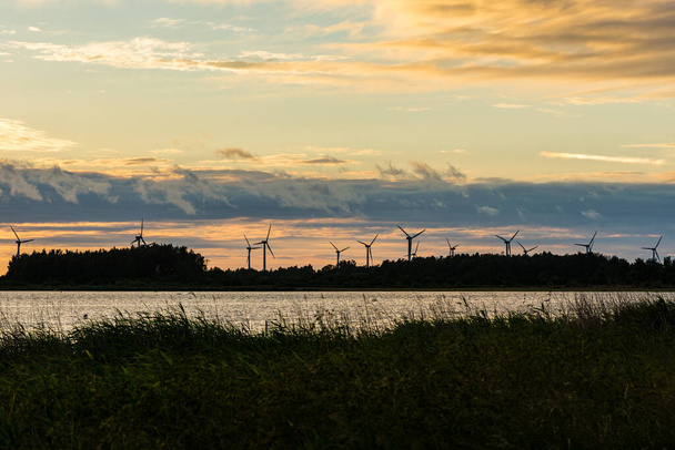 Силуети вітряних електростанцій у довгий ряд у прекрасному вечірньому літньому світлі, що стоїть біля східного узбережжя Швеції. - Фото, зображення
