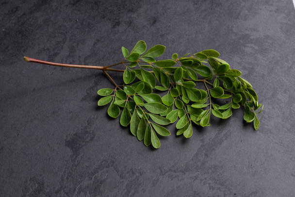 Moringa Oleifera - Fresh Organic Moringa leaves; On gray background - Fotoğraf, Görsel