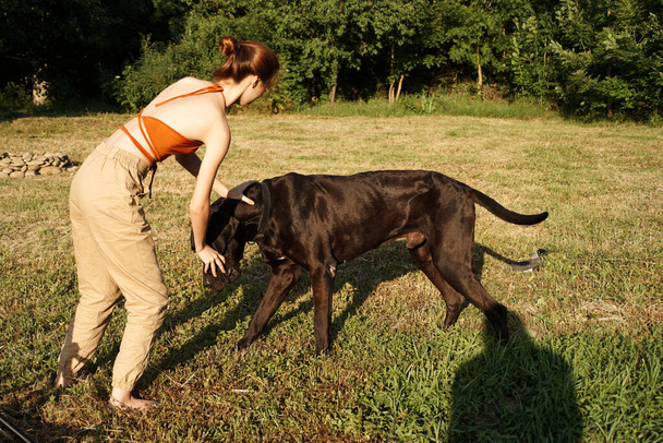 cheerful woman playing dog outdoors in the field of friendship - Valokuva, kuva
