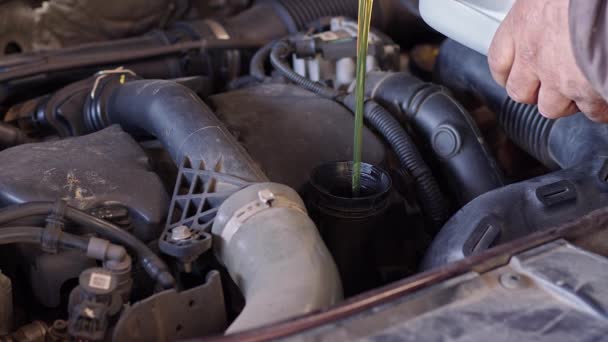Very Nice Car Mechanic Pouring New Oil To Engine Footage. - Footage, Video