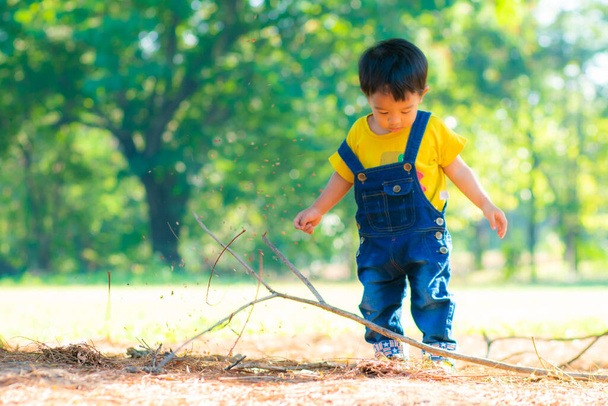 Toddler asian boy playing in city public park on green grass tree park - Photo, Image