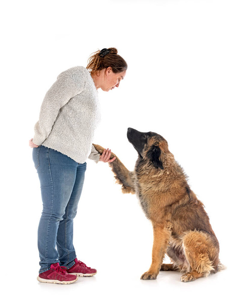 young Leonberger and owner in front of white background - Foto, Imagem