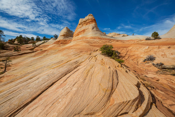 Formazioni di arenaria nello Utah, USA. Bellissimi paesaggi insoliti. - Foto, immagini