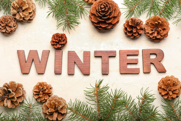 Word WINTER made of wooden letters, pine cones and fir branches on light background - Photo, image