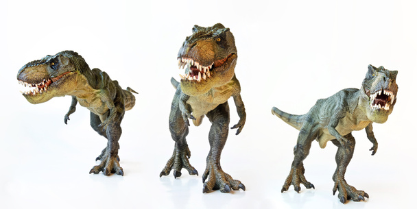 Трио тираннозавров на белом фоне
  - Фото, изображение