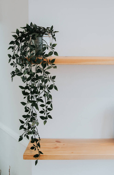 A vertical shot of an ivy in a pot on wooden shelves - Foto, immagini