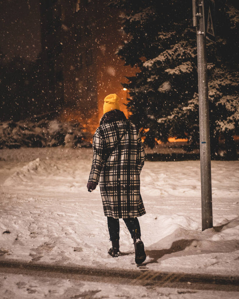 A vertical shot of a beautiful woman walking through the snowy woodland - Fotografie, Obrázek