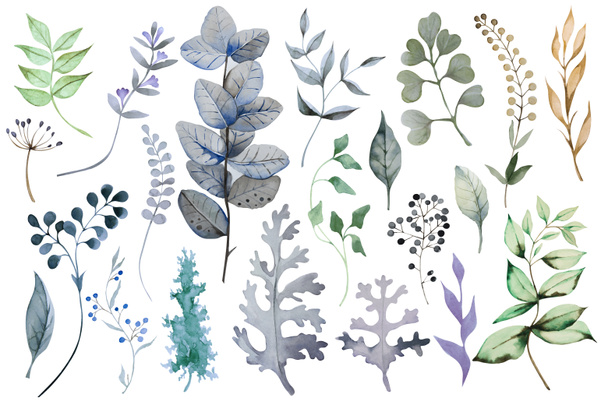 Set von farbenfrohen abstrakten Pflanzen. Kräuter, Zweige und Blätter, isoliert auf weißem Hintergrund. Handgezeichnete Aquarell-Illustration. - Foto, Bild