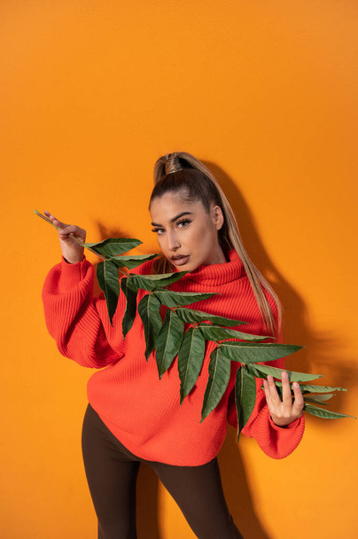 A high angle view of an attractive Spanish model holding a green branch and posing in the orange background - Foto, afbeelding