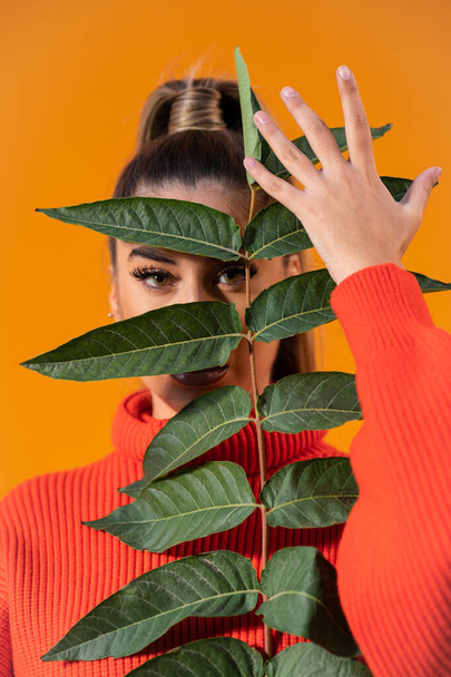 A young Spanish female holding a plant branch with green leaves in the orange background - Foto, immagini