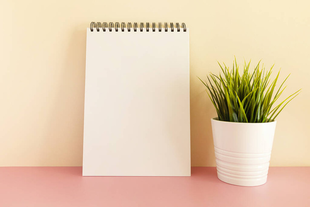 A white spiral notepad with a plant on a pastel background - Valokuva, kuva