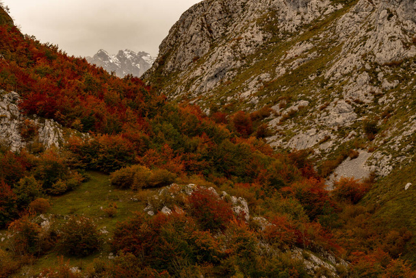 Vallei van de Duje in Tielve in de Picos de Europa. - Foto, afbeelding