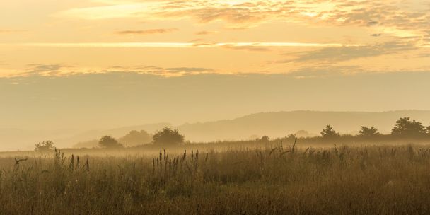 amanecer nebulosa mañana en Baviera
 - Foto, imagen