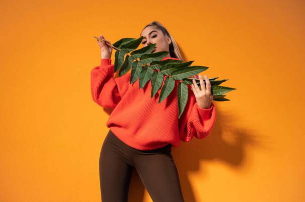 A stylish Spanish girl in casual clothes is holding a green plant and posing in the orange background - Фото, изображение