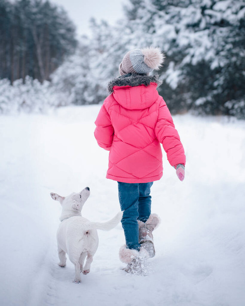 Little girl in a bright jacket plays in the winter snowy forest with her dog jack russell terrier - Foto, imagen