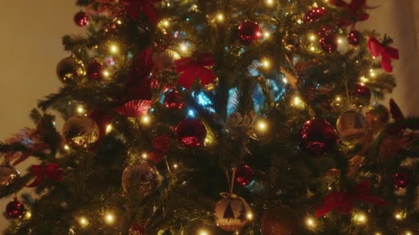 karácsonyfa a házban - Felvétel, videó
