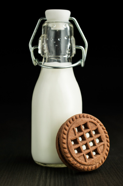 milk in a bottle with cocoa cookies  - Фото, зображення