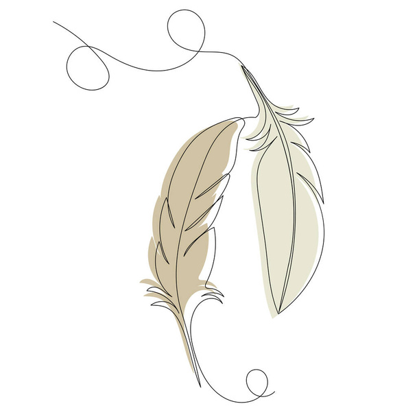 bird feathers drawing sketch, vector, isolated - Vector, Image