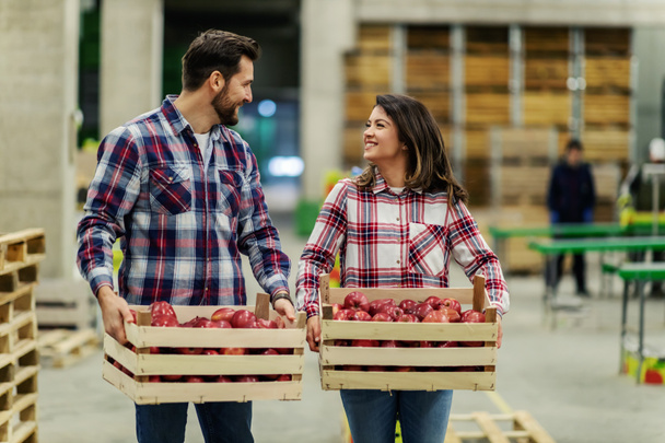 Een paar in de lucifer geruite kleren dragen houten kisten met biologische appels. Ze lopen door de opslagruimtes en communiceren met hun ogen. Trots op mezelf en mijn werk, vers fruit, biologisch - Foto, afbeelding