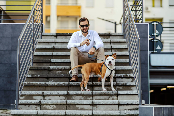 Majitel psa a psa ve městě. Hezký muž elegantně oblečený pije kávu a drží psy na vodítku, zatímco sedí na schodišti v městském městě. Vedle něj tiše stojí americký Stafford. - Fotografie, Obrázek