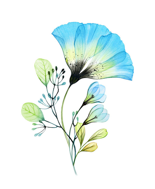 Акварельний квітковий букет з великими анемонами та пролісками. Абстрактна композиція з блакитними прозорими квітами і листям. Ручна пофарбована ілюстрація для весняних весільних канцтоварів, вітальних листівок
 - Фото, зображення