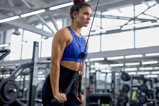 female training using triceps kickback, workout with sportive equipment - Zdjęcie, obraz