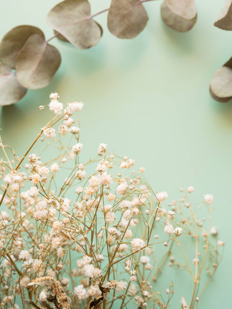 Stelletje gedroogde bloemen en eucaliptus takken op groene achtergrond - Foto, afbeelding