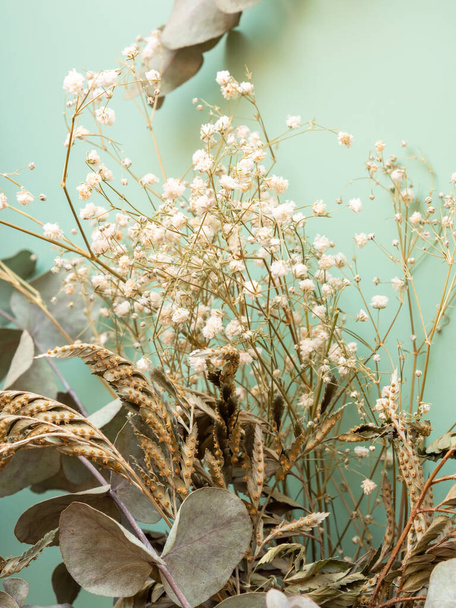 Stelletje gedroogde bloemen en eucaliptus takken op groene achtergrond - Foto, afbeelding