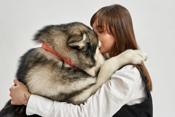 Siberian Husky dog and woman hug each other - Фото, изображение