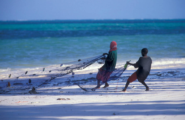 Fishermen on the Beach at the East Coast at the Village of Bwejuu on the Island of Zanzibar in Tanzania.  Tanzania, Zanzibar, Bwejuu, October, 2004 - 写真・画像