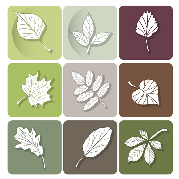 Leaves icon - Διάνυσμα, εικόνα