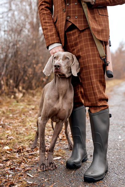 cropped man hunter in suit ready to hunt, holding gun and walking with dog in forest. - Foto, immagini