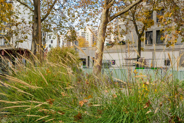 Paris, France - November 14th 2021: Wilderness in an urban street in the municipality of Lilas. - 写真・画像