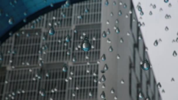 salvador, bahia, brazil - dezembro 7, 2021: A mű fénylő lapadákat használ, hogy úgy utánozzon, mint az esővíz Salvador városban. - Felvétel, videó