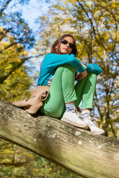 A menina subiu à árvore. Menina sentada em uma árvore em uma floresta de outono - Foto, Imagem