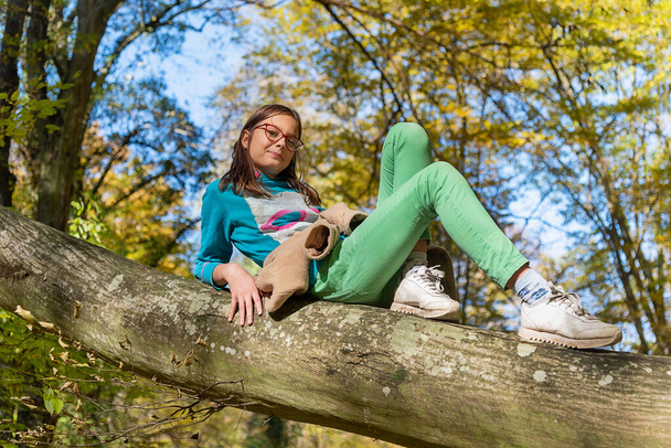 A kislány felmászott a fára. Egy lány ül egy fán egy őszi erdőben. - Fotó, kép