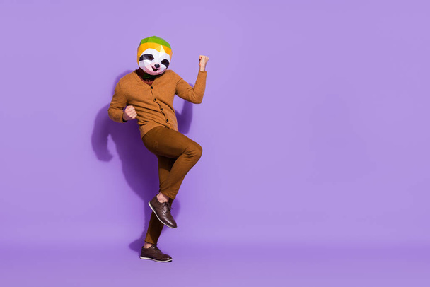Full length portrait of weird unusual red panda mask person raise fists triumph isolated on violet color background - Foto, immagini