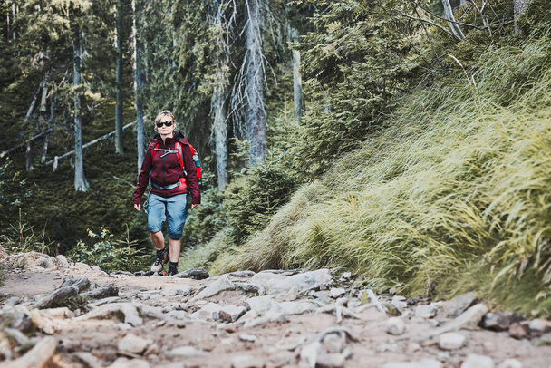 Vrouw met rugzak wandelen in de bergen, zomervakantie doorbrengen dicht bij de natuur. Vrouw wandelend op pad tussen struiken en bomen - Foto, afbeelding