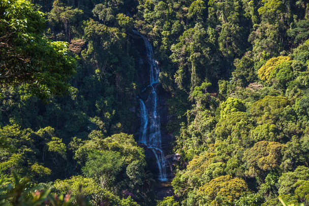 Pohled na Cascatinha Taunay (Taunay Waterfall) na Floresta da Tijuca (Tijuca Forest) - Rio de Janeiro, Brazílie - Fotografie, Obrázek
