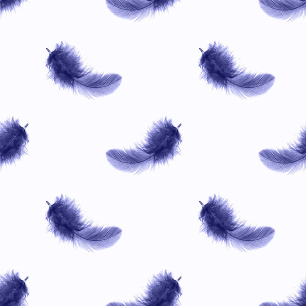 Pluma de pájaro de color azul muy peri repite patrón sin costura sobre fondo claro. - Foto, imagen