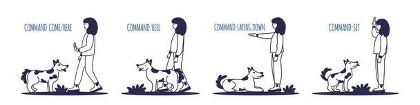 People training their pet dog set. The pet executes the command to lie down. The training process. Editable vector illustration A simple icon, symbol, sign. Editable vector illustration isolated - Vector, Image