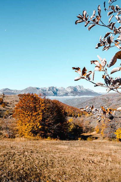 Κάθετη εικόνα φθινοπωρινού τοπίου στο Εθνικό Πάρκο Ντούρμιτορ του Μαυροβουνίου. Μια ζεστή έγχρωμη εικόνα ιδανική για ταπετσαρία. Αντιγραφή χώρου στον γαλάζιο ουρανό. Όμορφο σημείο για πεζοπορία στα Βαλκάνια - Φωτογραφία, εικόνα