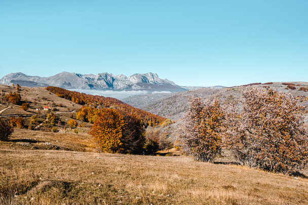 Φθινοπωρινό τοπίο στο Εθνικό Πάρκο Ντούρμιτορ, Μαυροβούνιο. Μια ζεστή έγχρωμη εικόνα ιδανική για ταπετσαρία. Αντιγραφή χώρου στον γαλάζιο ουρανό. Όμορφο σημείο για πεζοπορία στα Βαλκάνια - Φωτογραφία, εικόνα