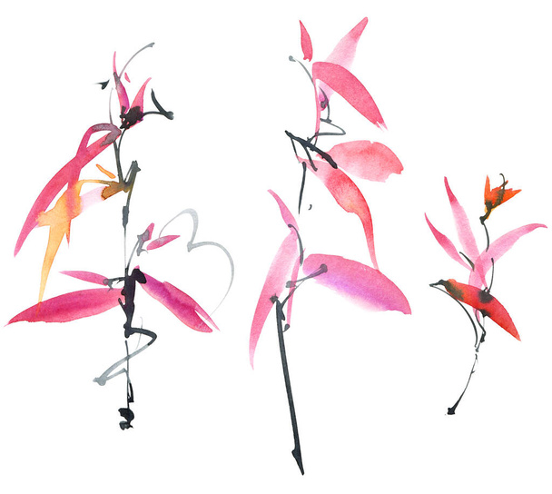 Aquarell und Tusche Illustration - Blütenpflanze mit Blättern, rosa Blüten und Knospen. Sumi-e-Kunst. - Foto, Bild