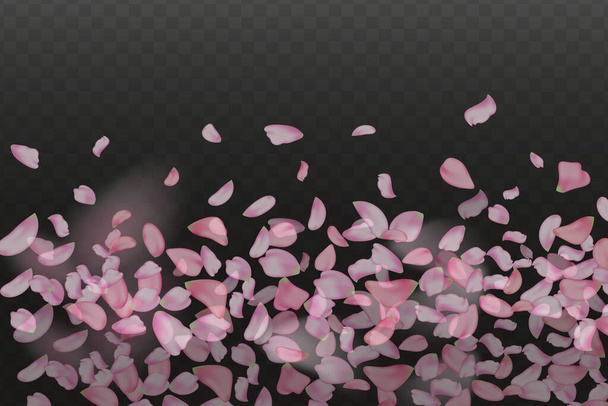 Natur horizontal schwarzer Hintergrund. Rosa fallende Sakura Blütenblätter. - Vektor, Bild
