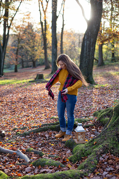 European white young woman in yellow sweater in sunny autumn forest - Foto, immagini
