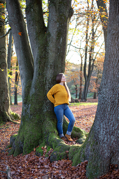 Νεαρή ευρωπαϊκή λευκή γυναίκα σε κίτρινο πουλόβερ σε ηλιόλουστο δάσος του φθινοπώρου στέκεται κοντά κορμό δέντρο - Φωτογραφία, εικόνα
