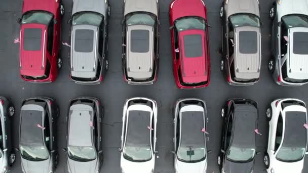 Reihen nagelneuer Autos in einem amerikanischen Autohaus Stock Aerial View. Thema Automobilindustrie. - Filmmaterial, Video