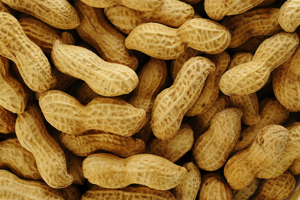 Cacahuètes
  - Photo, image